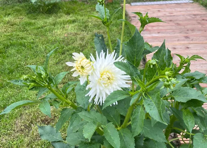 Casa Divera Casa vacanze